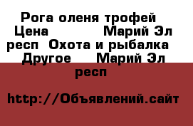 Рога оленя трофей › Цена ­ 3 500 - Марий Эл респ. Охота и рыбалка » Другое   . Марий Эл респ.